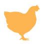 poulet-pictogramme